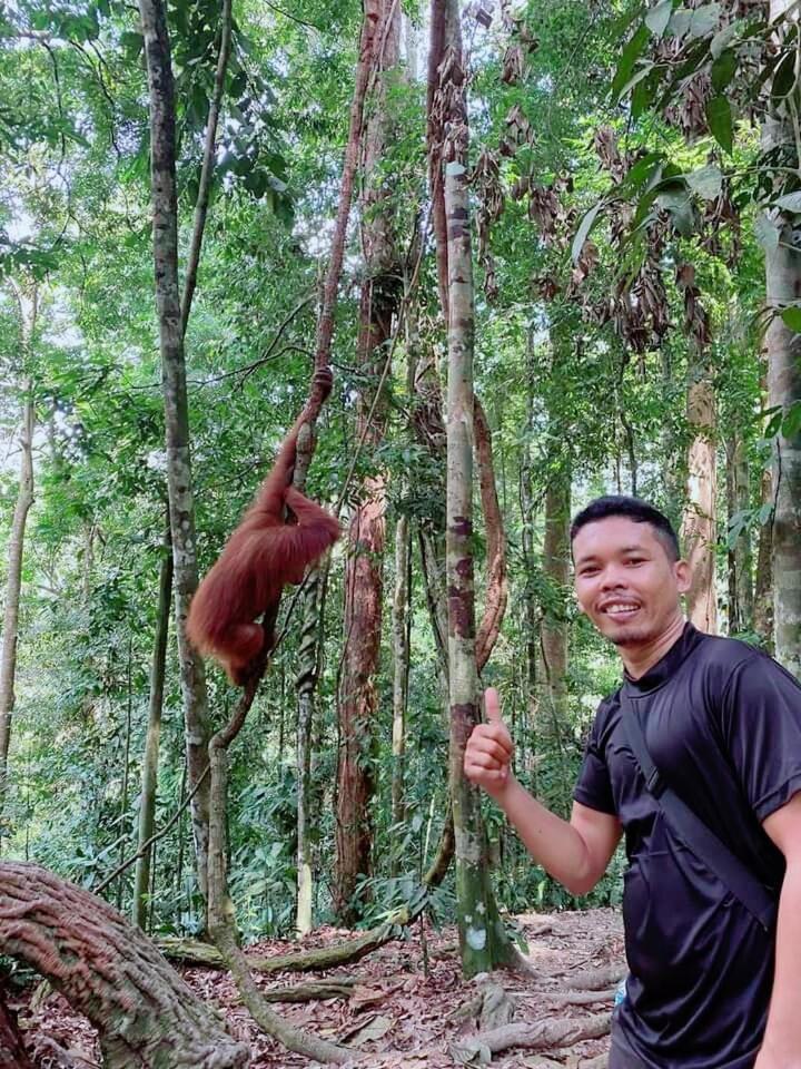 Pongo Guest House & Jungle Trekking Bukit Lawang Exterior photo