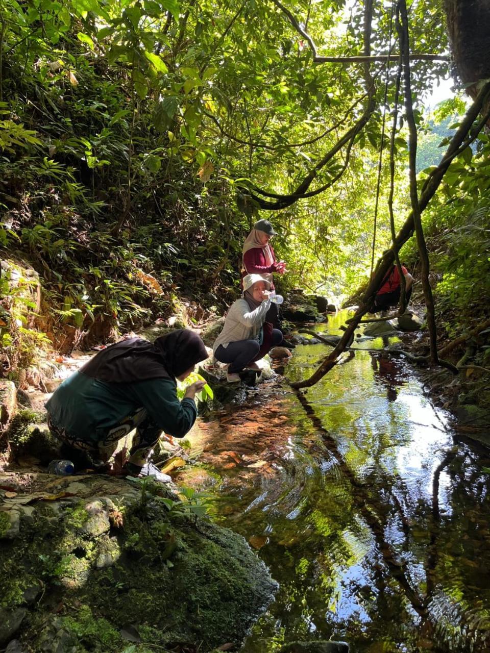 Pongo Guest House & Jungle Trekking Bukit Lawang Exterior photo