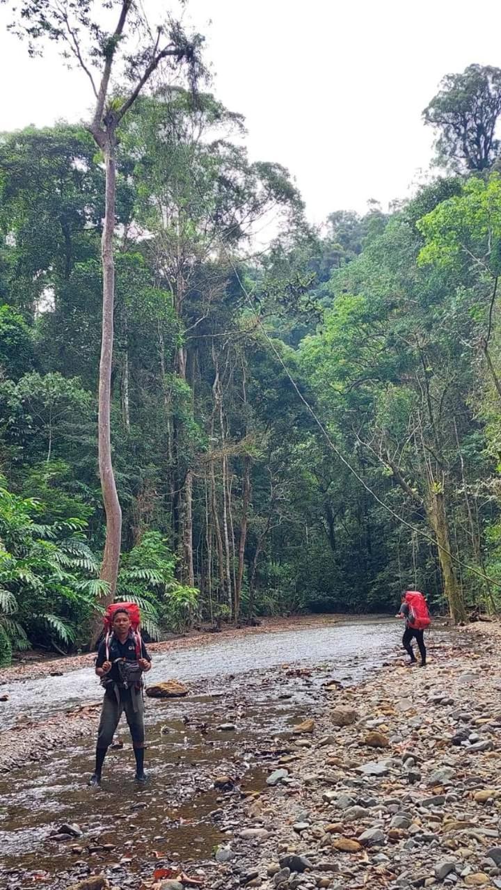 Pongo Guest House & Jungle Trekking Bukit Lawang Exterior photo