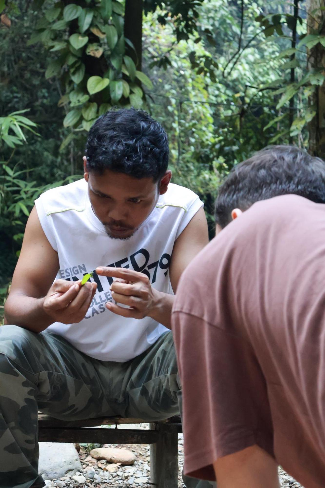 Pongo Guest House & Jungle Trekking Bukit Lawang Exterior photo
